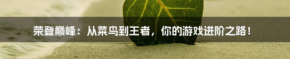 荣登巅峰：从菜鸟到王者，你的游戏进阶之路！