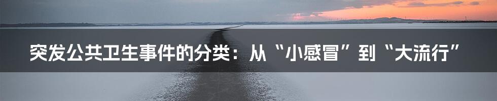 突发公共卫生事件的分类：从“小感冒”到“大流行”