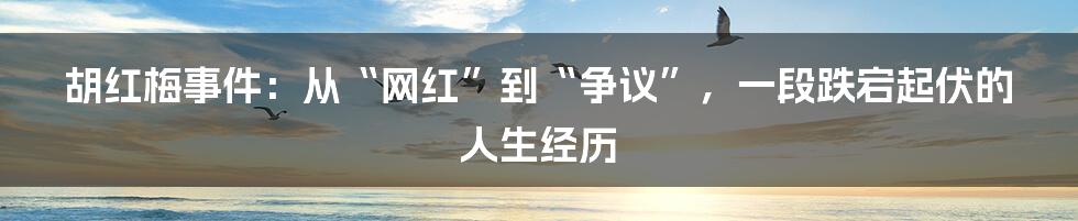 胡红梅事件：从“网红”到“争议”，一段跌宕起伏的人生经历