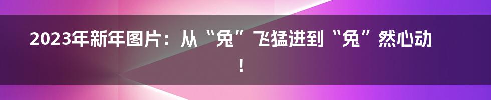 2023年新年图片：从“兔”飞猛进到“兔”然心动！