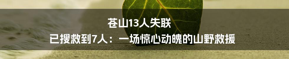 苍山13人失联 已搜救到7人：一场惊心动魄的山野救援