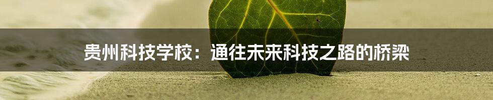 贵州科技学校：通往未来科技之路的桥梁