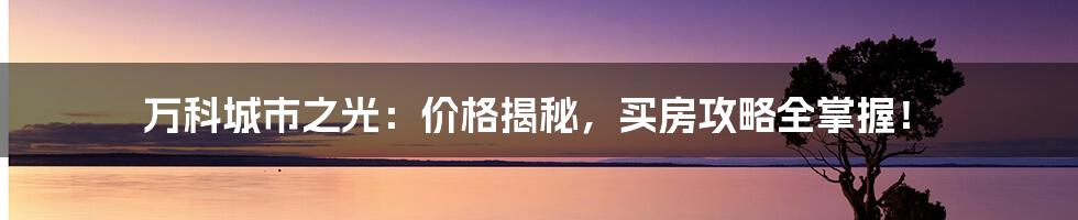 万科城市之光：价格揭秘，买房攻略全掌握！