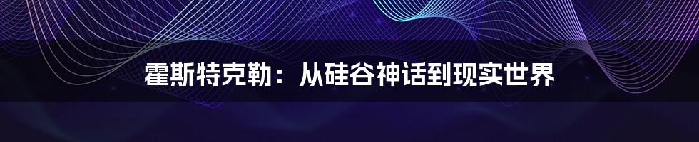 霍斯特克勒：从硅谷神话到现实世界