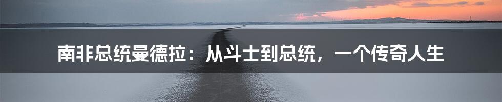 南非总统曼德拉：从斗士到总统，一个传奇人生