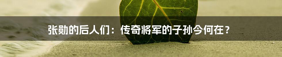 张勋的后人们：传奇将军的子孙今何在？