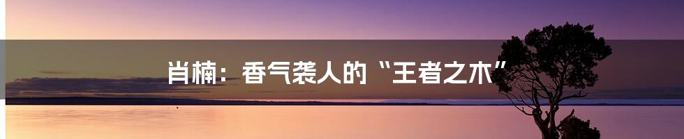 肖楠：香气袭人的“王者之木”