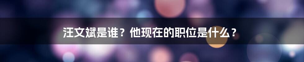 汪文斌是谁？他现在的职位是什么？