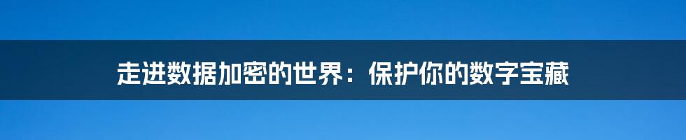 走进数据加密的世界：保护你的数字宝藏