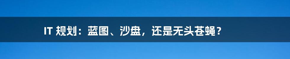 IT 规划：蓝图、沙盘，还是无头苍蝇？