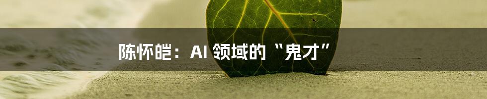 陈怀皑：AI 领域的“鬼才”