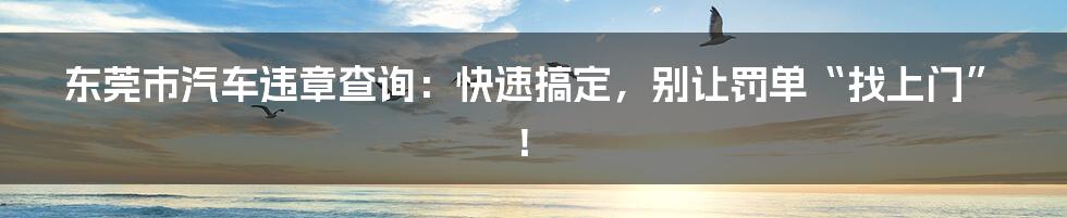 东莞市汽车违章查询：快速搞定，别让罚单“找上门”！