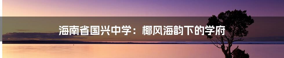 海南省国兴中学：椰风海韵下的学府