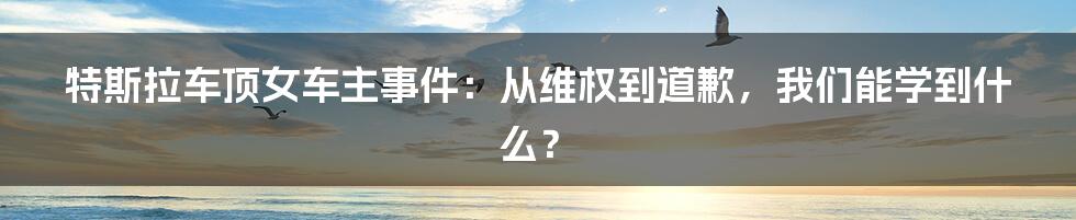 特斯拉车顶女车主事件：从维权到道歉，我们能学到什么？