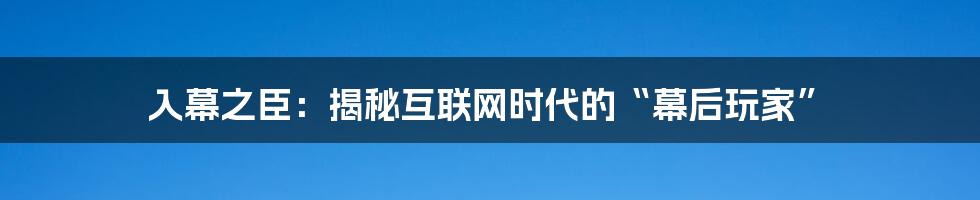 入幕之臣：揭秘互联网时代的“幕后玩家”