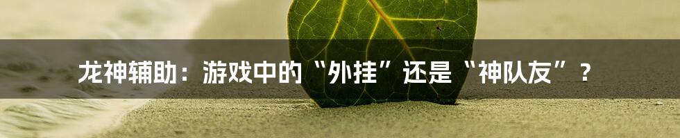 龙神辅助：游戏中的“外挂”还是“神队友”？