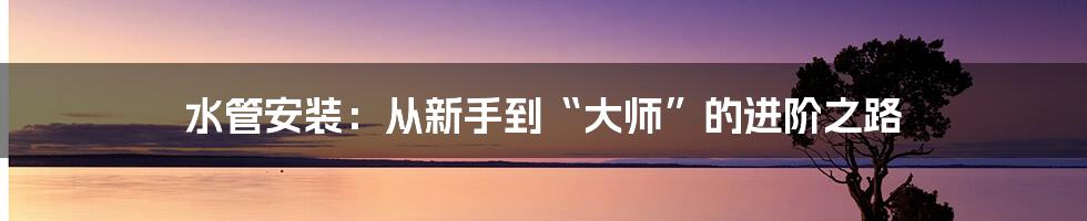 水管安装：从新手到“大师”的进阶之路