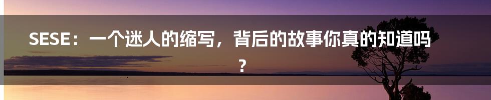 SESE：一个迷人的缩写，背后的故事你真的知道吗？