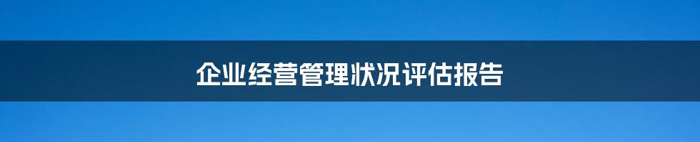 企业经营管理状况评估报告