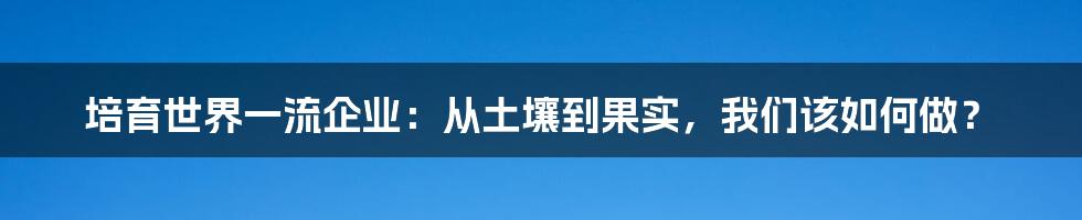 培育世界一流企业：从土壤到果实，我们该如何做？