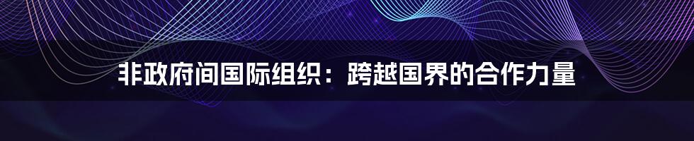 非政府间国际组织：跨越国界的合作力量