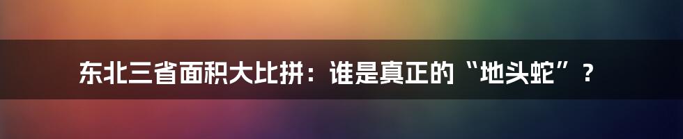 东北三省面积大比拼：谁是真正的“地头蛇”？