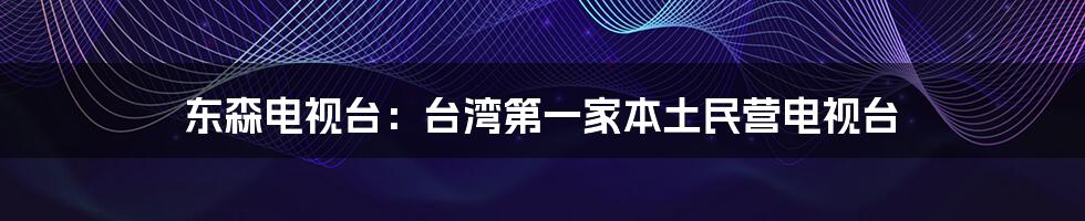 东森电视台：台湾第一家本土民营电视台