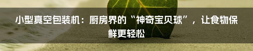 小型真空包装机：厨房界的“神奇宝贝球”，让食物保鲜更轻松