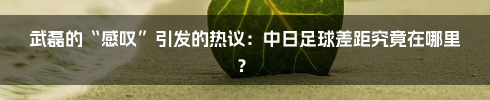 武磊的“感叹”引发的热议：中日足球差距究竟在哪里？