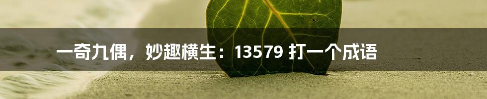 一奇九偶，妙趣横生：13579 打一个成语