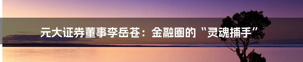 元大证券董事李岳苍：金融圈的“灵魂捕手”