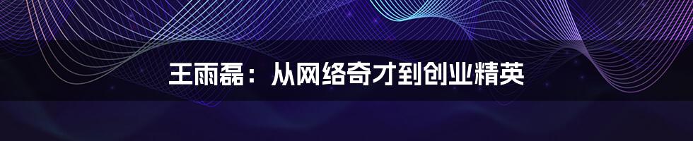 王雨磊：从网络奇才到创业精英