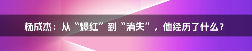 杨成杰：从“爆红”到“消失”，他经历了什么？