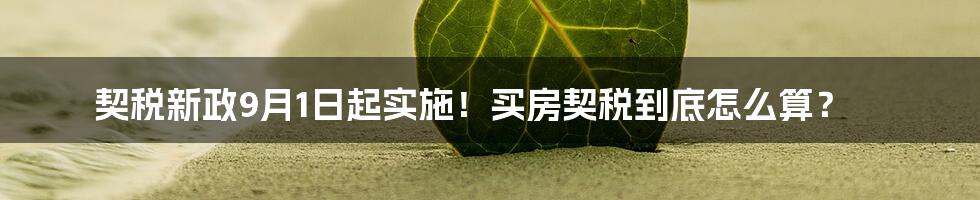 契税新政9月1日起实施！买房契税到底怎么算？