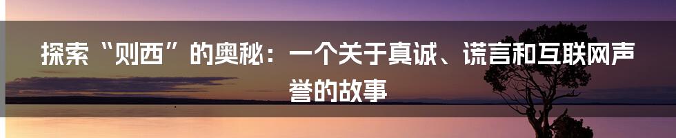 探索“则西”的奥秘：一个关于真诚、谎言和互联网声誉的故事