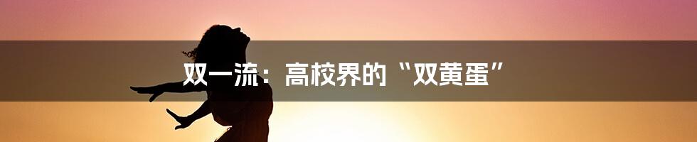 双一流：高校界的“双黄蛋”