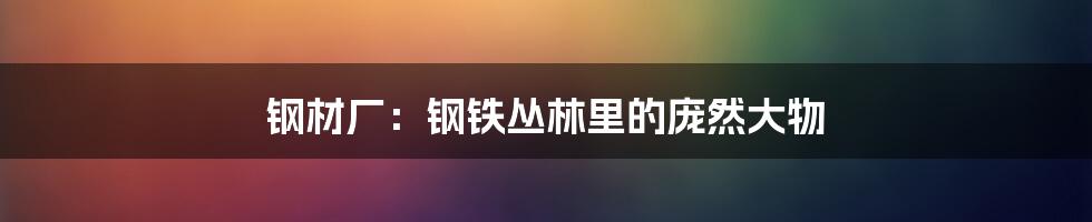 钢材厂：钢铁丛林里的庞然大物