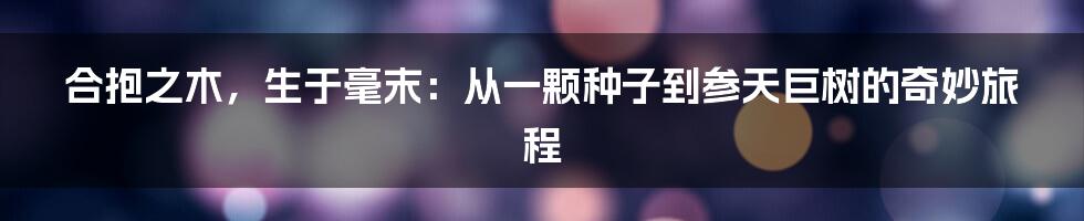 合抱之木，生于毫末：从一颗种子到参天巨树的奇妙旅程