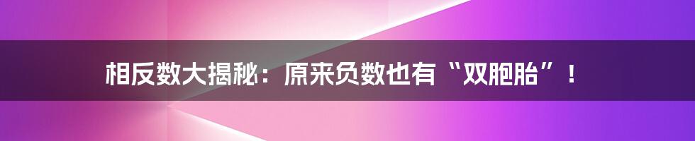 相反数大揭秘：原来负数也有“双胞胎”！