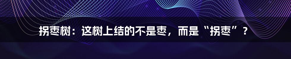 拐枣树：这树上结的不是枣，而是“拐枣”？