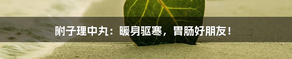 附子理中丸：暖身驱寒，胃肠好朋友！