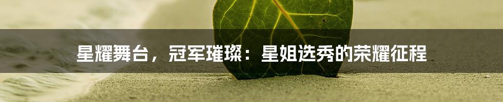 星耀舞台，冠军璀璨：星姐选秀的荣耀征程