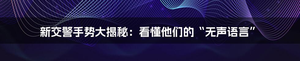 新交警手势大揭秘：看懂他们的“无声语言”