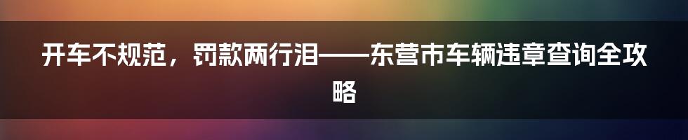 开车不规范，罚款两行泪——东营市车辆违章查询全攻略