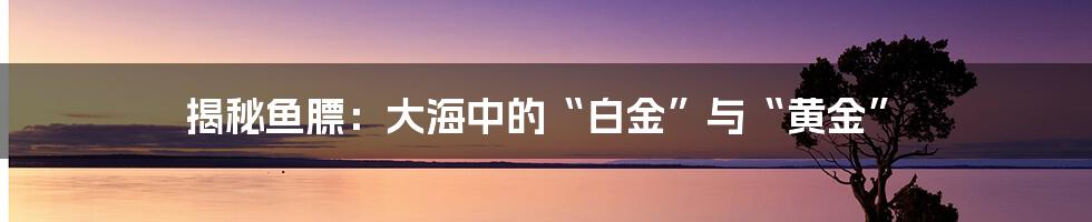 揭秘鱼膘：大海中的“白金”与“黄金”