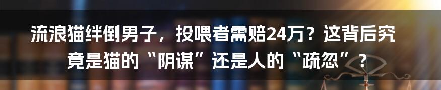 流浪猫绊倒男子，投喂者需赔24万？这背后究竟是猫的“阴谋”还是人的“疏忽”？