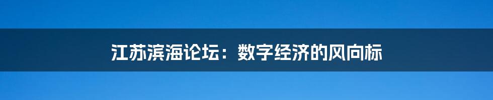 江苏滨海论坛：数字经济的风向标