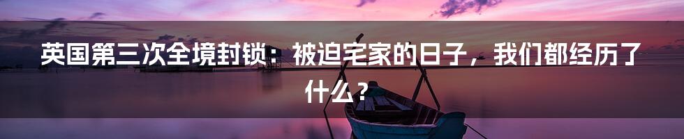 英国第三次全境封锁：被迫宅家的日子，我们都经历了什么？