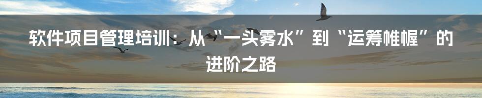 软件项目管理培训：从“一头雾水”到“运筹帷幄”的进阶之路