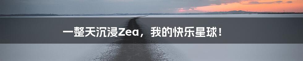 一整天沉浸Zea，我的快乐星球！